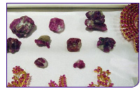 080319_maynmarrubies.jpg