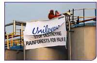 080423_unilever.jpg 080423_unilever.jpg