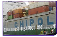 080506_drcwood.jpg