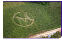 080922_monsanto.jpg 080922_monsanto.jpg