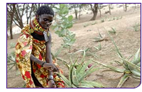 081222_practicalaction.jpg