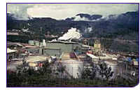 090205_porgeramine.jpg
