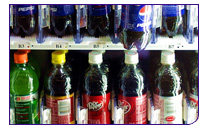 090402_fridg.jpg