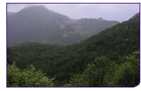 090625_fsc.jpg