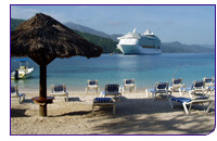 100121_royalcarribean
