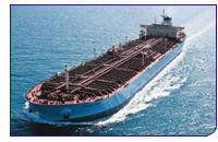 Shipping giant sees biofuels in its future